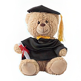 Printable Teddy Bear in a Graduate Outfit20 cm