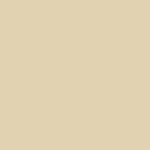 Folia HeatFlex pantone 7506U