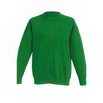 Kid&rsquo;s sweatshirt for printing Colour: green Size: 110 cm