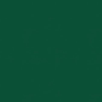 Folia samoprzylepna, monomeryczna, kolor - zielono-leśny, matowa do ploterów tnących ORACAL 641-613, 1 x 1 m
