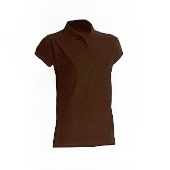 T-shirt Polo standard damski Kolor: brązowy Rozmiar: M