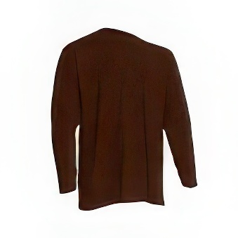 Longsleeve T-shirt for printing Colour: dark brown Size: S