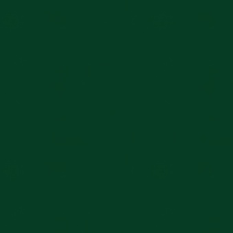 Folia samoprzylepna, monomeryczna, kolor - ciemnozielony, błyszczaca  do ploterów tnących ORACAL 641-060, 0,5 x 1 m