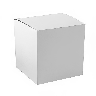 Latte Mug Box – 25 Pieces