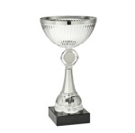 Metal trophy with marble stand - silver