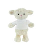 Teddy sheep with a white T-shirt for printing