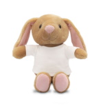 Teddy rabbit with a white T-shirt for printing