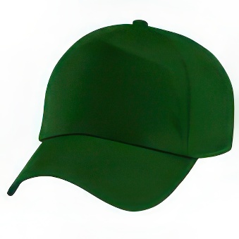 Peaked cap 5-panels plastic snap closure, green