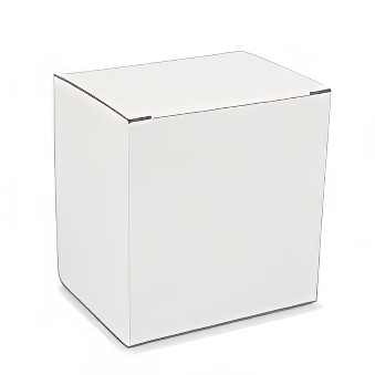 Large White Mug Box – 10 Pieces