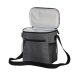 Cooler bag with shoulder strap