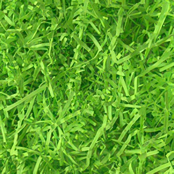 Paper Packaging Filler, neon green, neon green, 1 kg, neon green