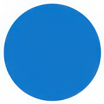 Resin-based thermal transfer ribbon for printer TSC TE200, blue, 11 cm