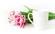 VALENTINE'S DAY BESTSELLERS