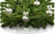 Christmas Tree Mats