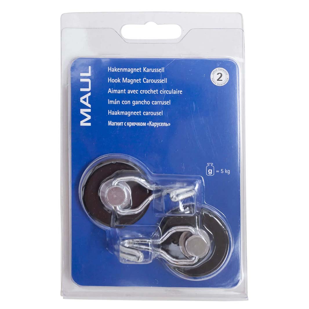 Magnet with hook