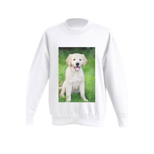 Kid’s sweatshirt for printing