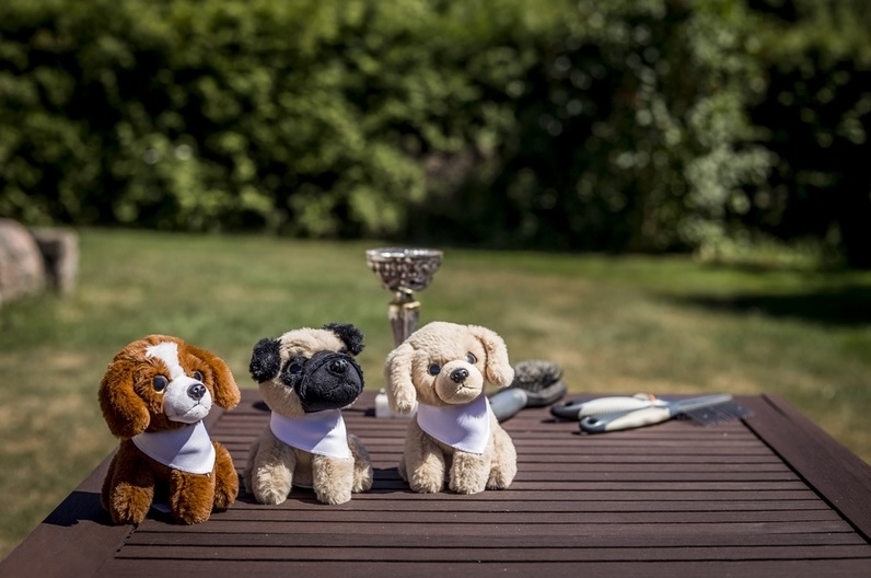 Teddy dog with a white scarf for sublimation