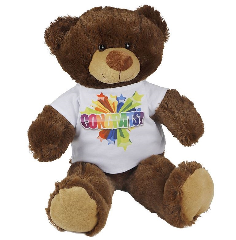 Dark-brown teddy bear with T-shirt suitable for sublimation