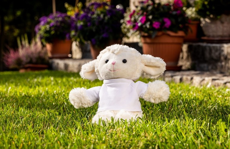 Teddy sheep with a white T-shirt for sublimation