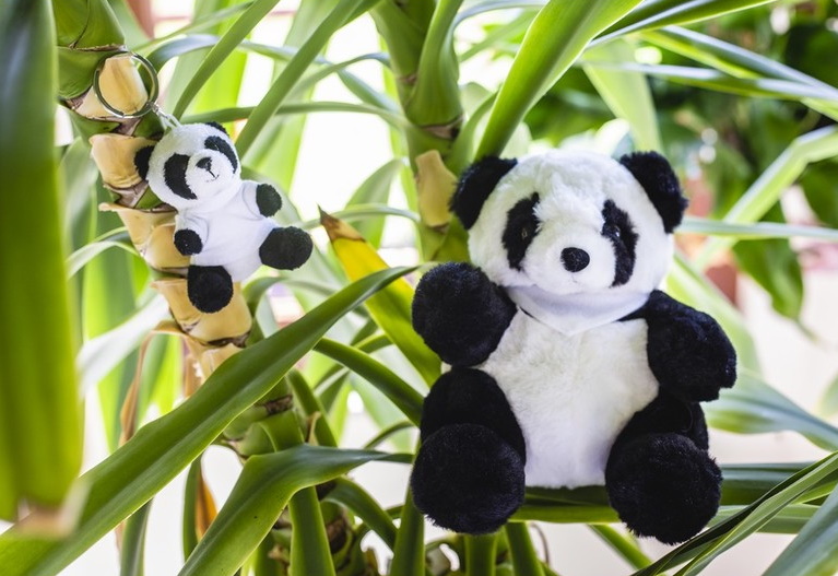 Key ring plushy panda with t-shirt for sublimation