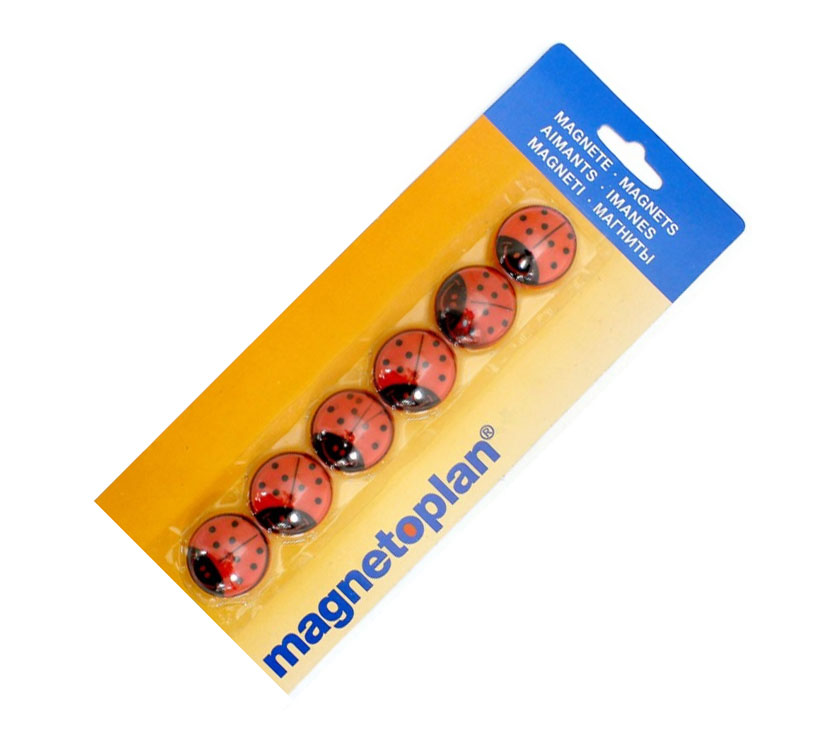 Spherical magnets - ladybugs