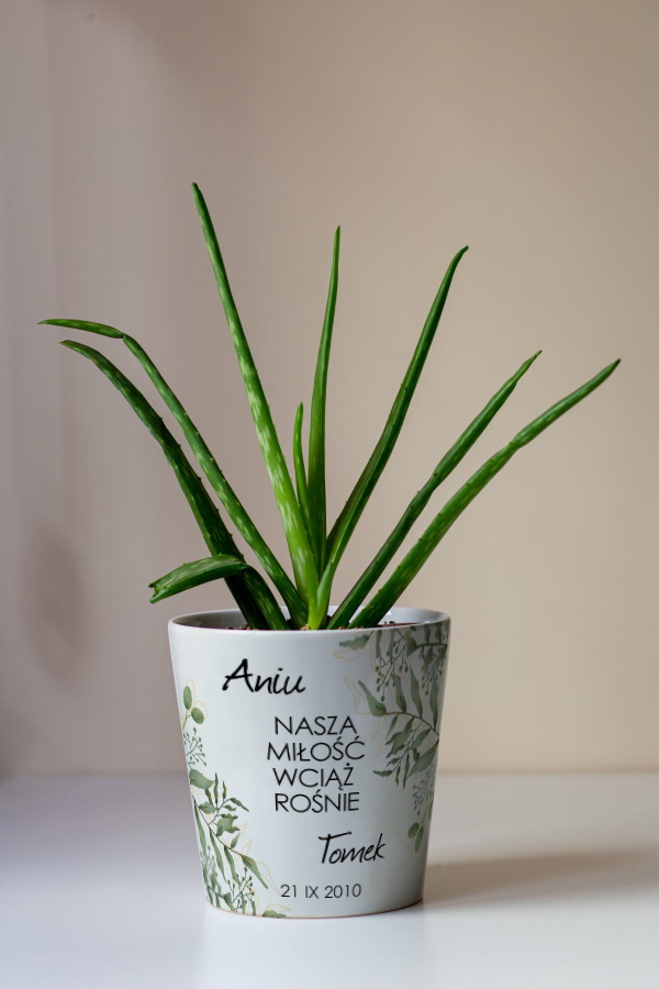 Plant pot for sublimation