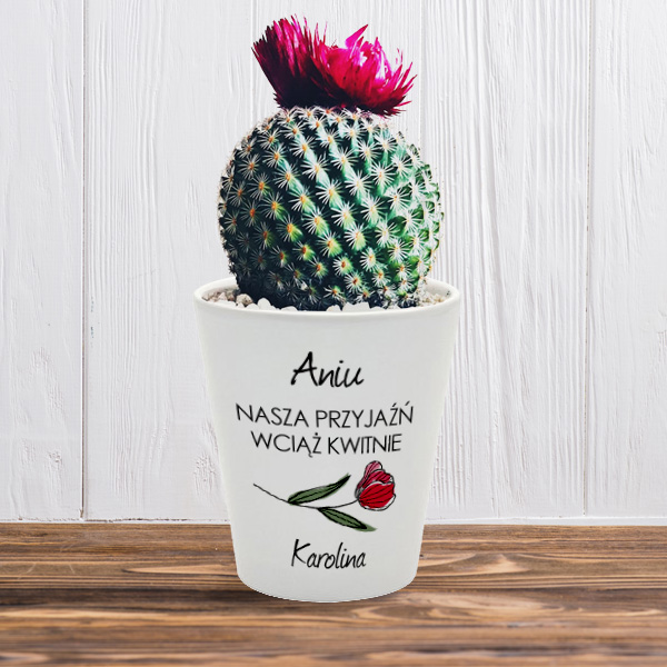 Ceramic flowerpot cover for sublimation