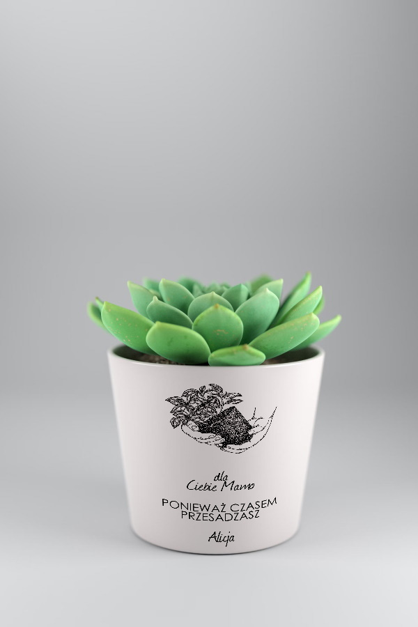 Ceramic flowerpot cover for sublimation