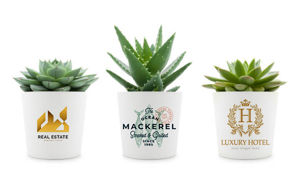 Plant pot for sublimation