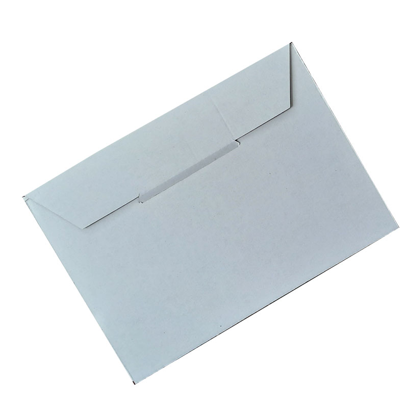 Carton envelope box - 10 pieces