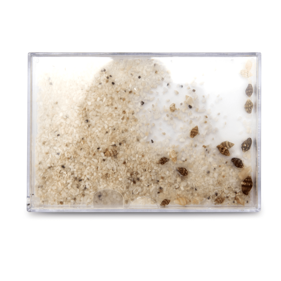 Liquid photo frame - sand with shells