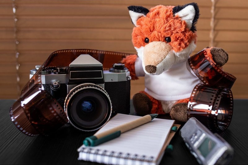 Teddy fox with a white T-shirt for sublimation