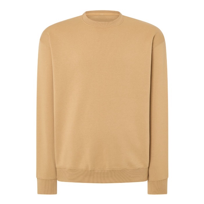 Sweatshirt for Printing for Men Colour: Sand Size: L