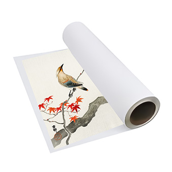 DTF Standard - transfer film - roll 30 cm x 100 m