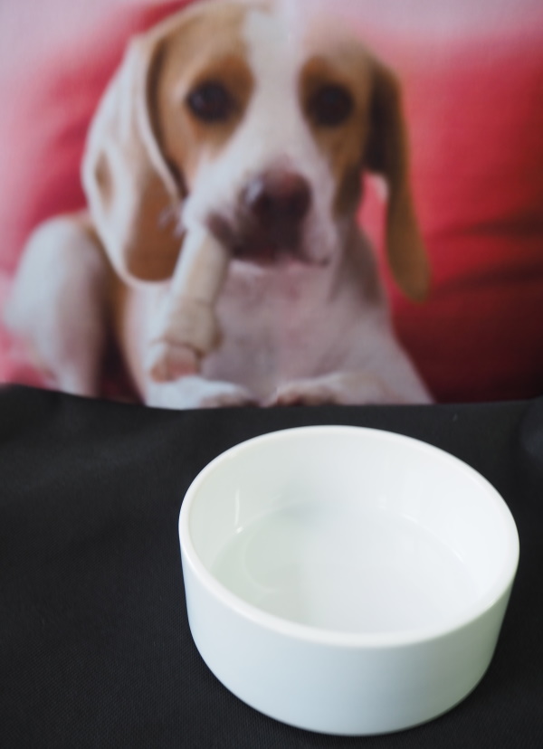 Ceramic bowl for pets for sublimation - big